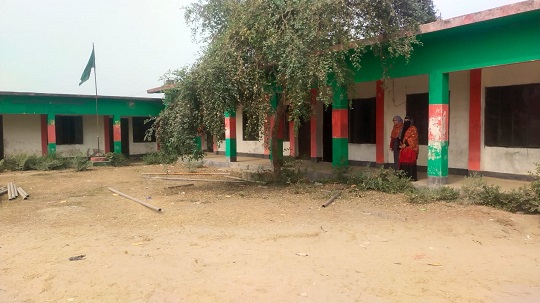 image-here